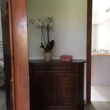 Nocleg ze śniadaniem Elena 4*